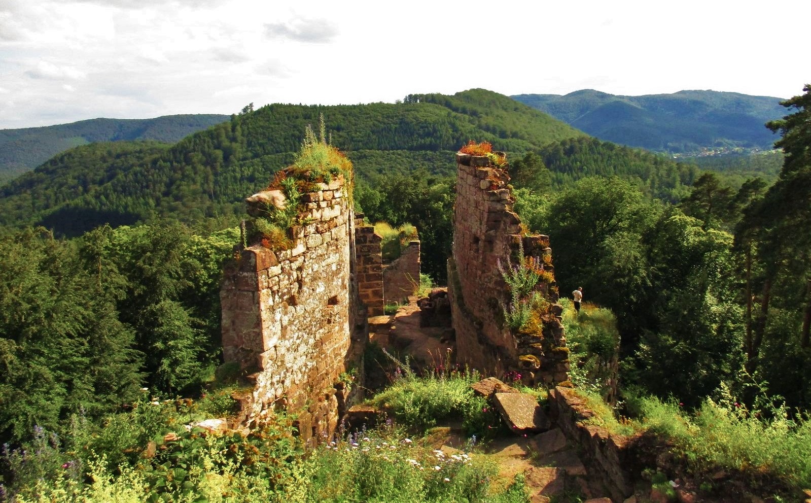 Get Camp 28 Wenn Esel Zu Freunden Werden Camps Wwf Junior Wwf For Android Free Wallpaper Camp 28 Wenn Esel Zu Freunden Werden Camps Wwf Junior Wwf HD